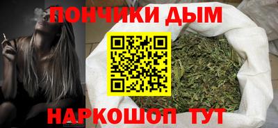 шишки Владимир