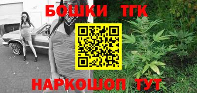 шишки Владимир