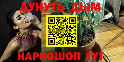 шишки Владимир