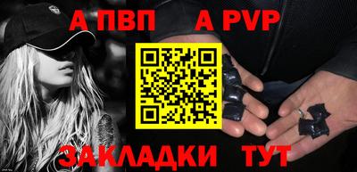 шишки Владимир