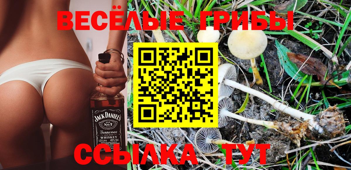 МАРИХУАНА  Вход с VPN  А ПВП СК   Белая Калитва  МДМА  Cocaine  КОКАИН  Мефедрон кристаллы  Гашиш 