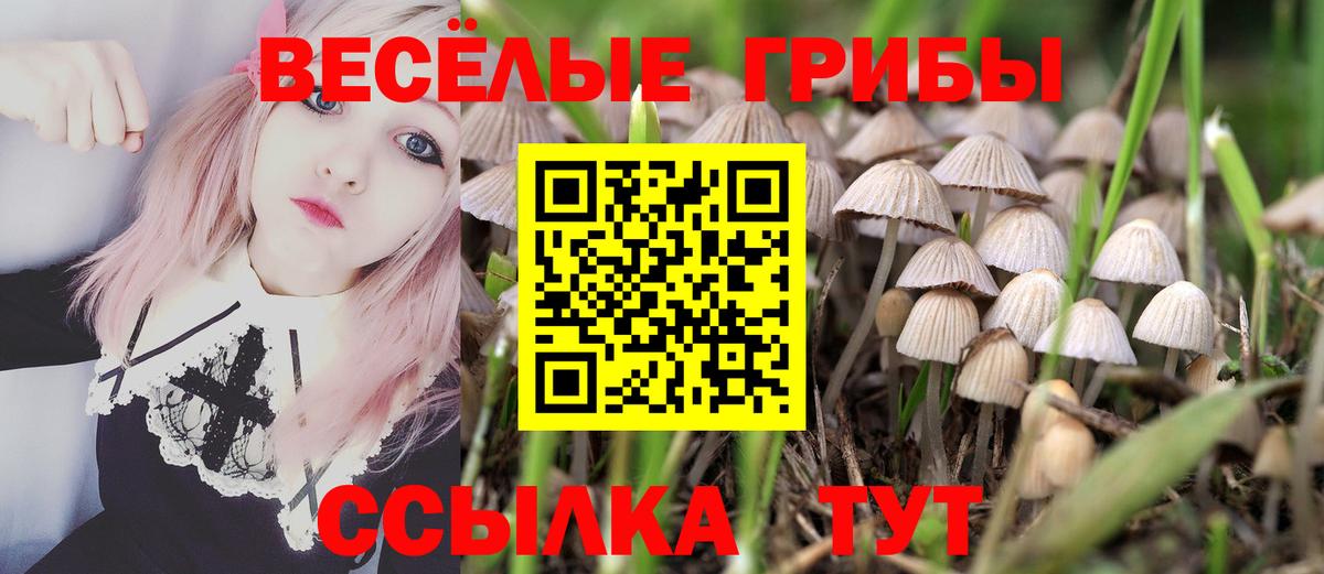 Псилоцибиновые грибы MAGIC MUSHROOMS Белая Калитва